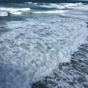 Meet your Posher, Jack